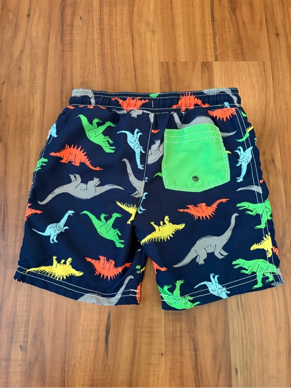 Carter’s Dinosaur Swim Trunks